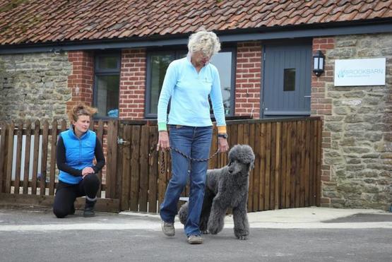 Brook Barn Free Muscular Health Check