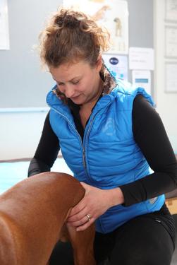 Brook Barn Free Muscular Health Check