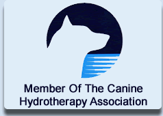 Brook Barn Canine Hydrotherapy